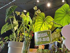 -懒人盐府人家(航天桥店)