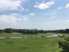 -北京麋鹿生态实验中心