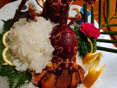 刺身澳洲龙虾（斤）-老江南春·中国龙菜(衡山路店)