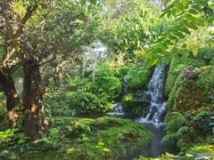 -Chom Cafe and Restaurant