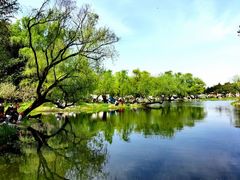 -上海共青森林公园