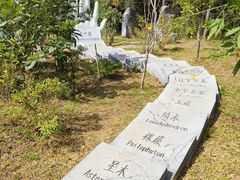 -普洱太阳河森林公园