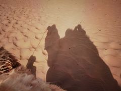 -亿利库布其七星湖沙漠生态旅游区