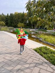 -大望京儿童游乐场