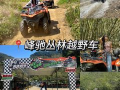 -银峰农庄·特色烧鸡·鲜无花果浸鸡