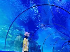 -左海海底世界