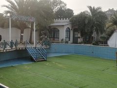 -寻味·后院花语