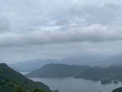-全乐鱼馆·淳牌有机鱼直营店