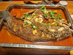 -沈胖子音乐烤吧·炒菜·龙虾(环城东路店)
