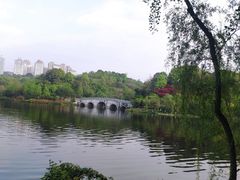 -重庆园博园