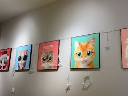 -洗脸猫·洗脸吧