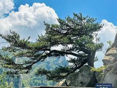 -老界岭旅游度假区