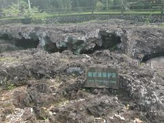 -海口火山口国家地质公园