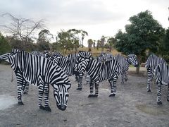 -威勒比开放式动物园