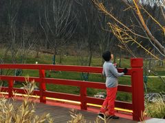 -羊山湖公园
