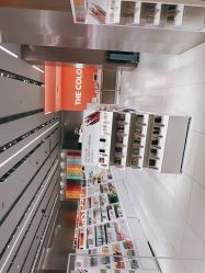 -THE COLORIST调色师