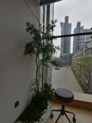 -涩谷イメジSalon烫染専門店