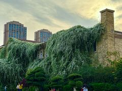 -府河摄影公园