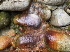 -三江森林温泉度假区