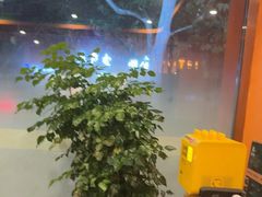 -泰古龙抓龙筋·spa按摩(浦东店)