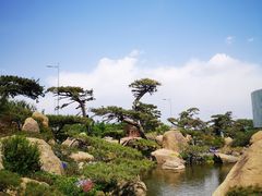 -罗红摄影艺术馆