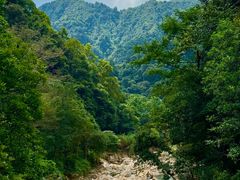 -姑婆山旅游区