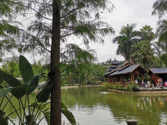 -金花茶公园