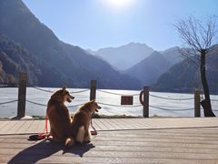 -秦岭终南山世界地质公园翠华山景区