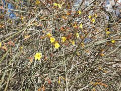 -燕风楼烤鸭店(建设总店)