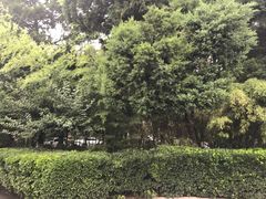 -陕西师范大学(雁塔校区)
