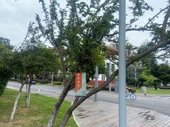 -四川大学(望江校区)