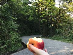 -广州市帽峰山景区