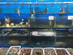 水产区-日照大牌檔•小船海鲜(万平口店)