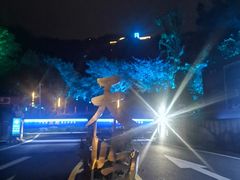 -千岛湖天屿景区