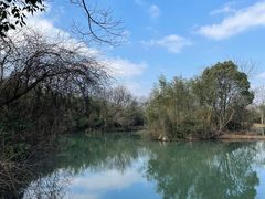 -西溪国家湿地公园