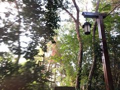 -天目湖涵田半山温泉