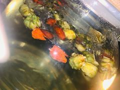 -紫莲花足道(柯桥古镇店)