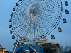 -飞来湖湿地公园