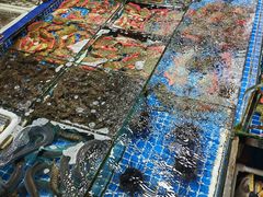 -霞涌市场海鲜摆卖区