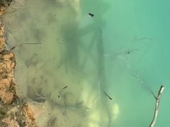 -广州市流溪河国家森林公园