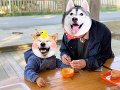 -前小桔亲子创意农场·草莓采摘·露营烧烤