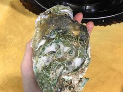 -蚝专家(北滘店)