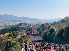 -庐山风景名胜区-东林大佛