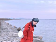 -合肥滨湖国家森林公园