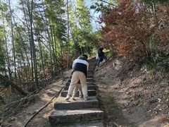 -长沙黑麋峰国家森林公园