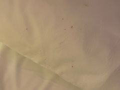 -维也纳国际酒店·济南奥体中心龙奥大厦店