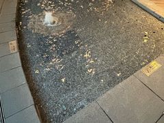 -瑞虹新天地月亮湾