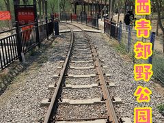-西青郊野公园