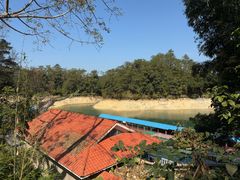 -广州市流溪河国家森林公园