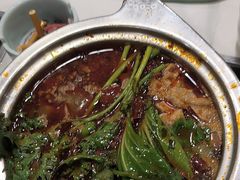 -草原传奇鲜羊火锅(桥北店)